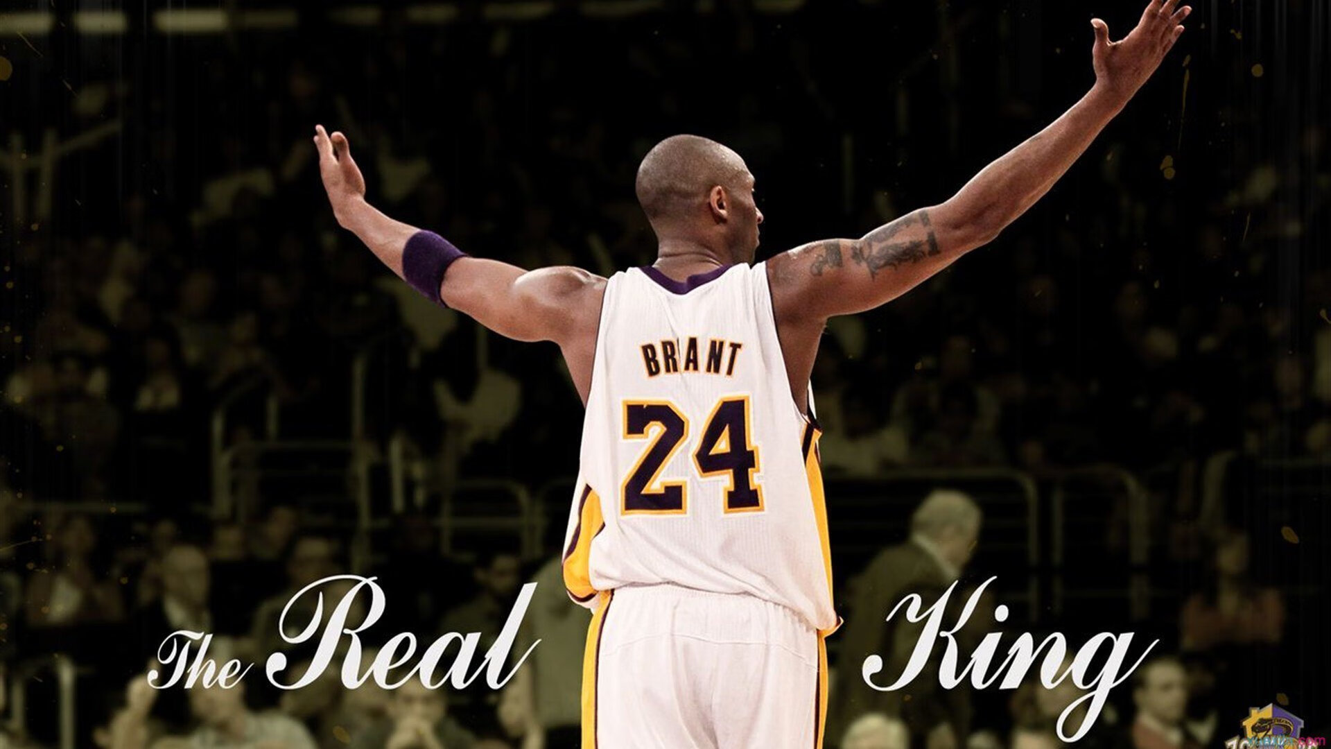 “危机生死线：赛场上的救援奇迹”，危机剧情